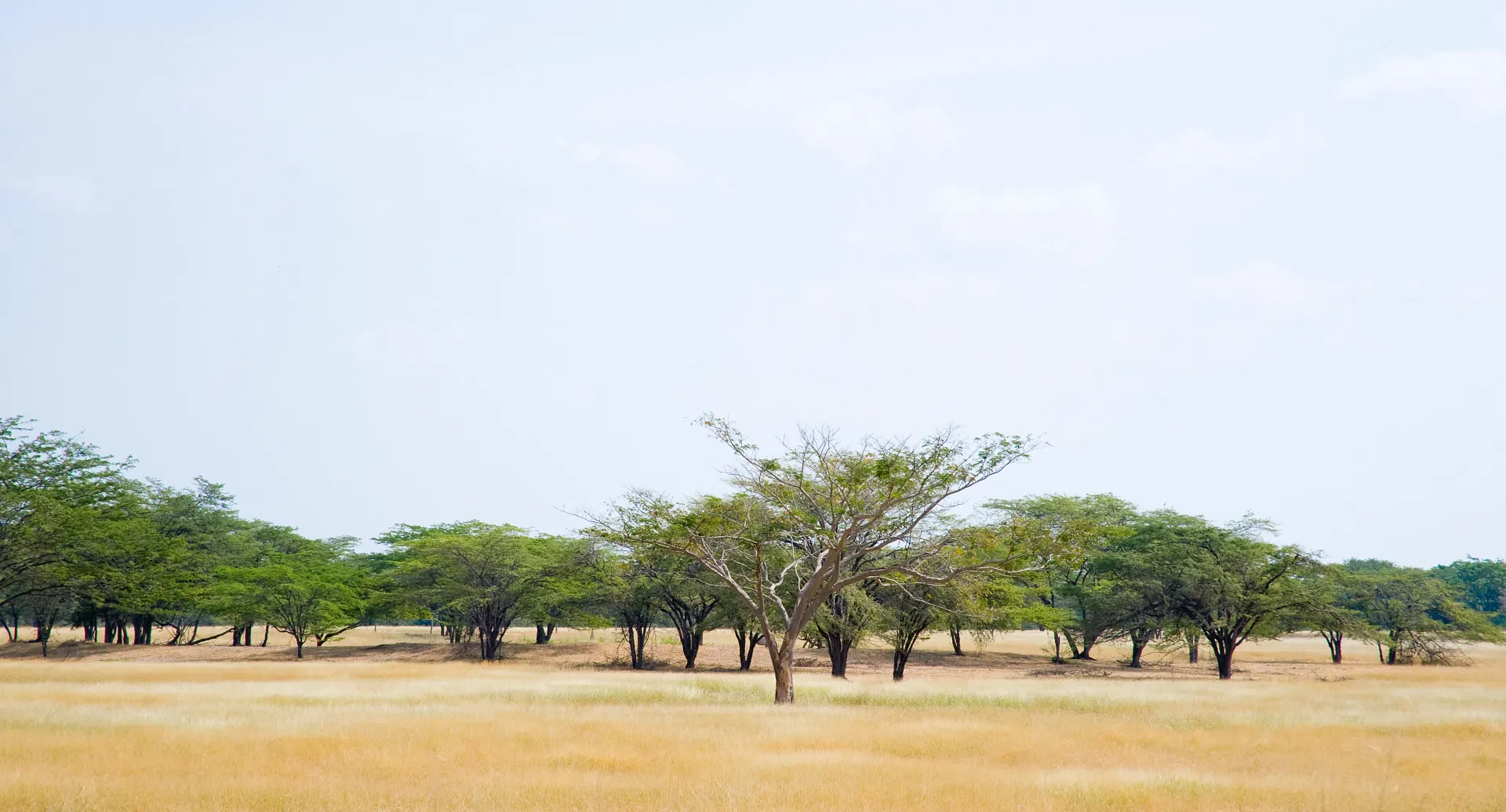 Parques y espacios naturales