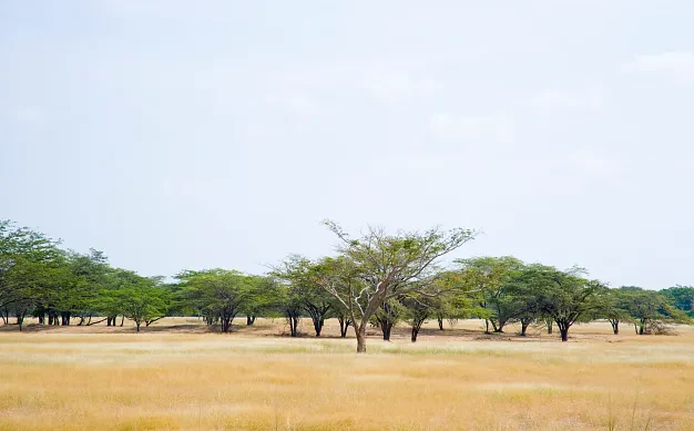 Parques y espacios naturales