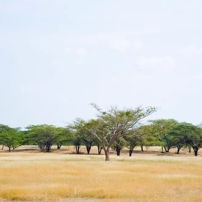 Parques y espacios naturales